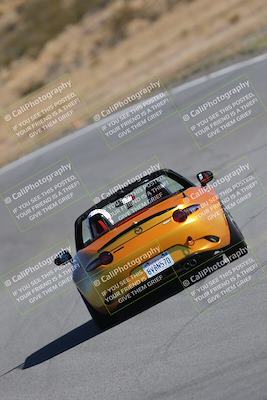 media/Nov-19-2023-Extreme Speed (Sun) [[bd0eec5490]]/Purple/Wall Paper Photos/